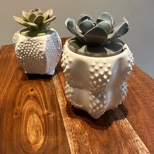 Anthropologie Succulent Candle Holder
